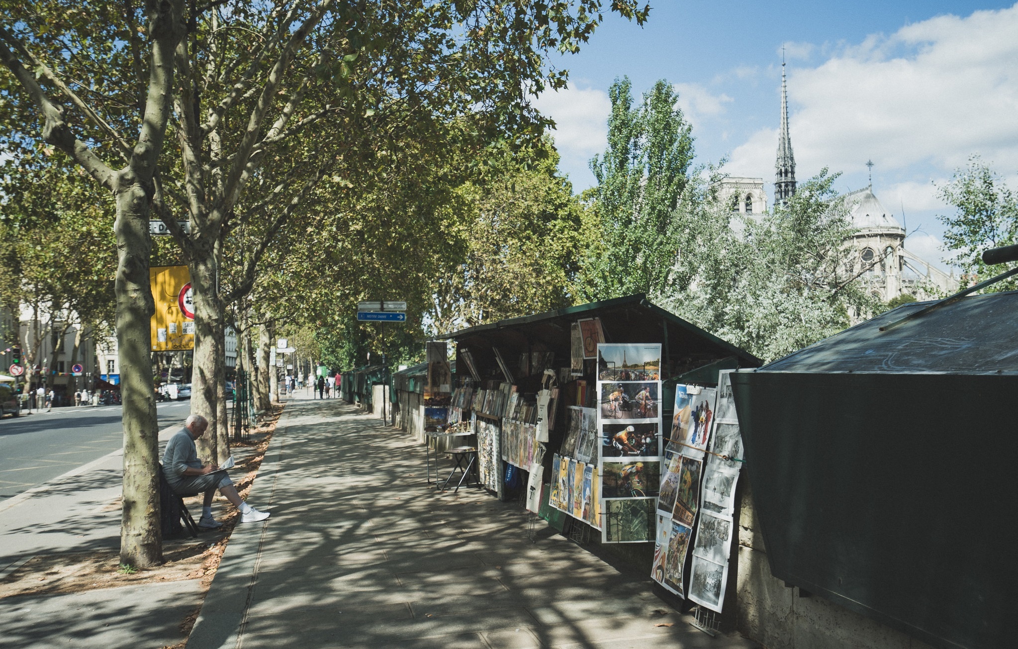 thanh pho Paris hoa le anh 17