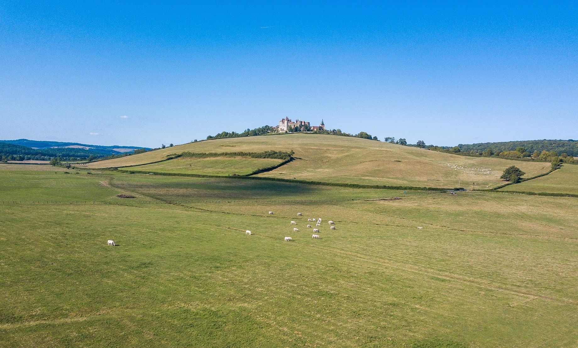 thanh pho Paris hoa le anh 1