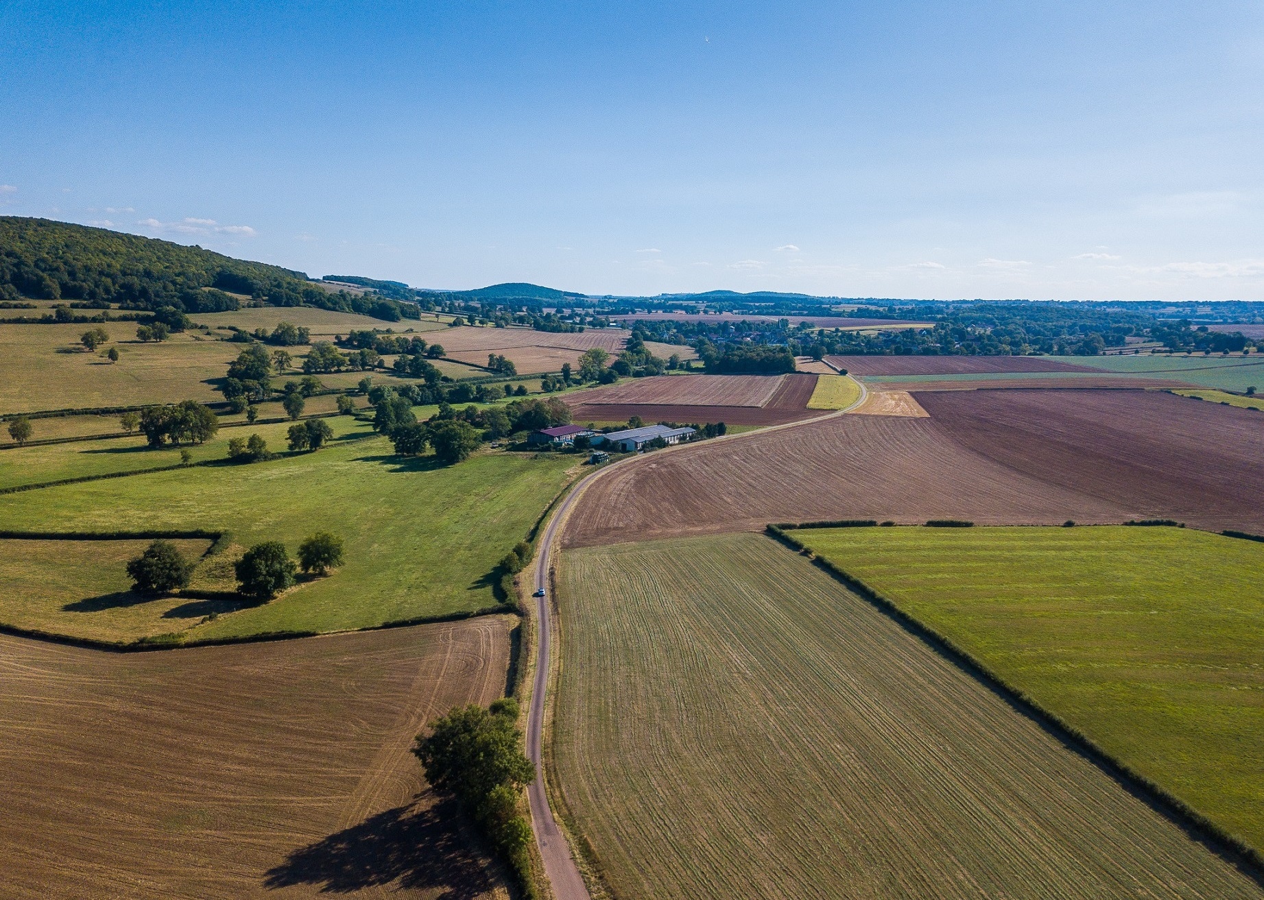 thanh pho Paris hoa le anh 2