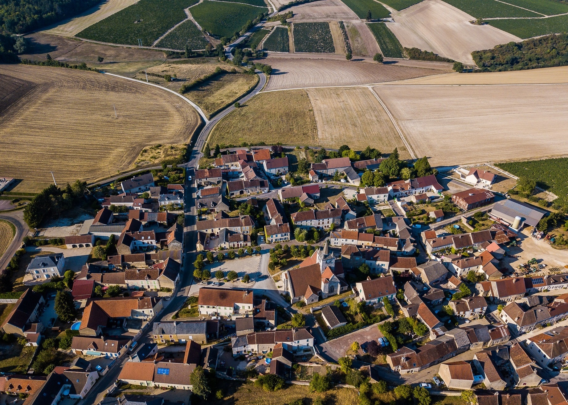 thanh pho Paris hoa le anh 6