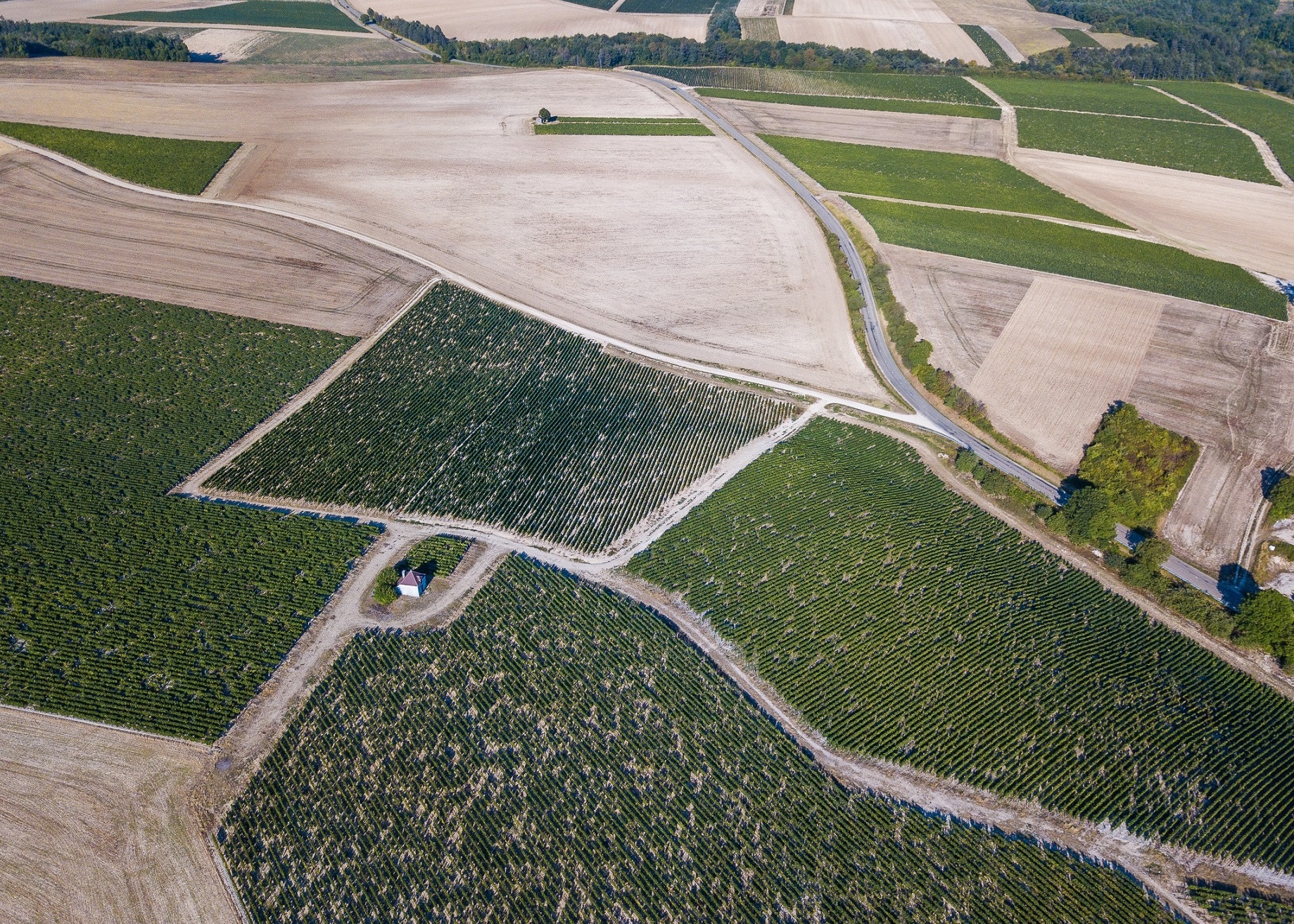 thanh pho Paris hoa le anh 3