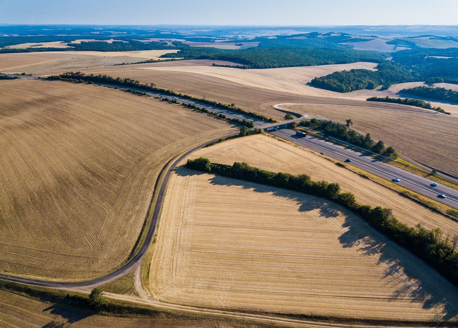 thanh pho Paris hoa le anh 4