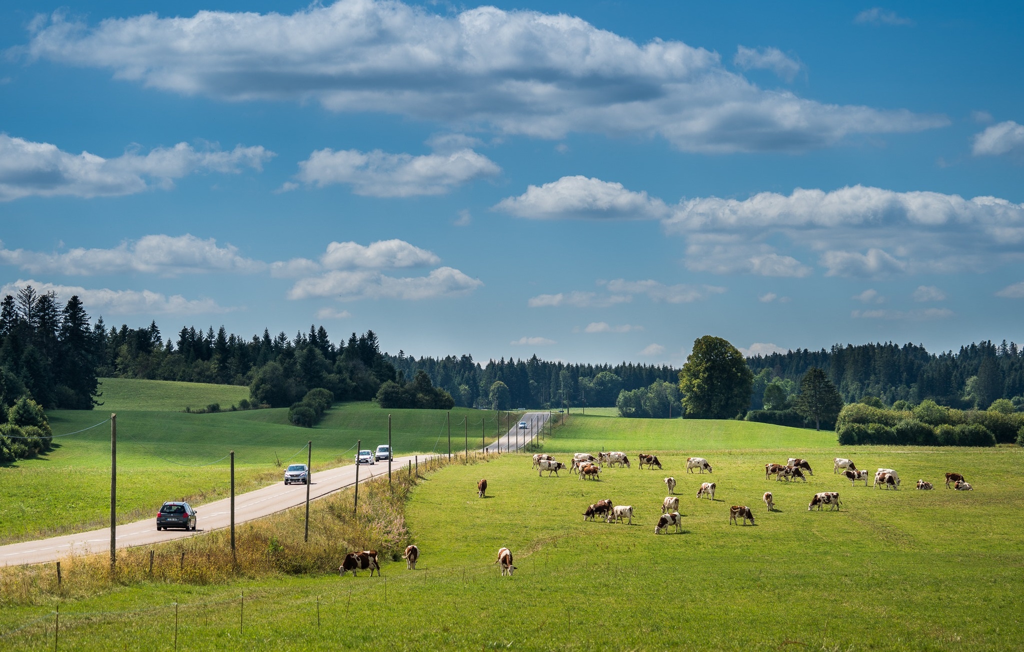 thanh pho Paris hoa le anh 7