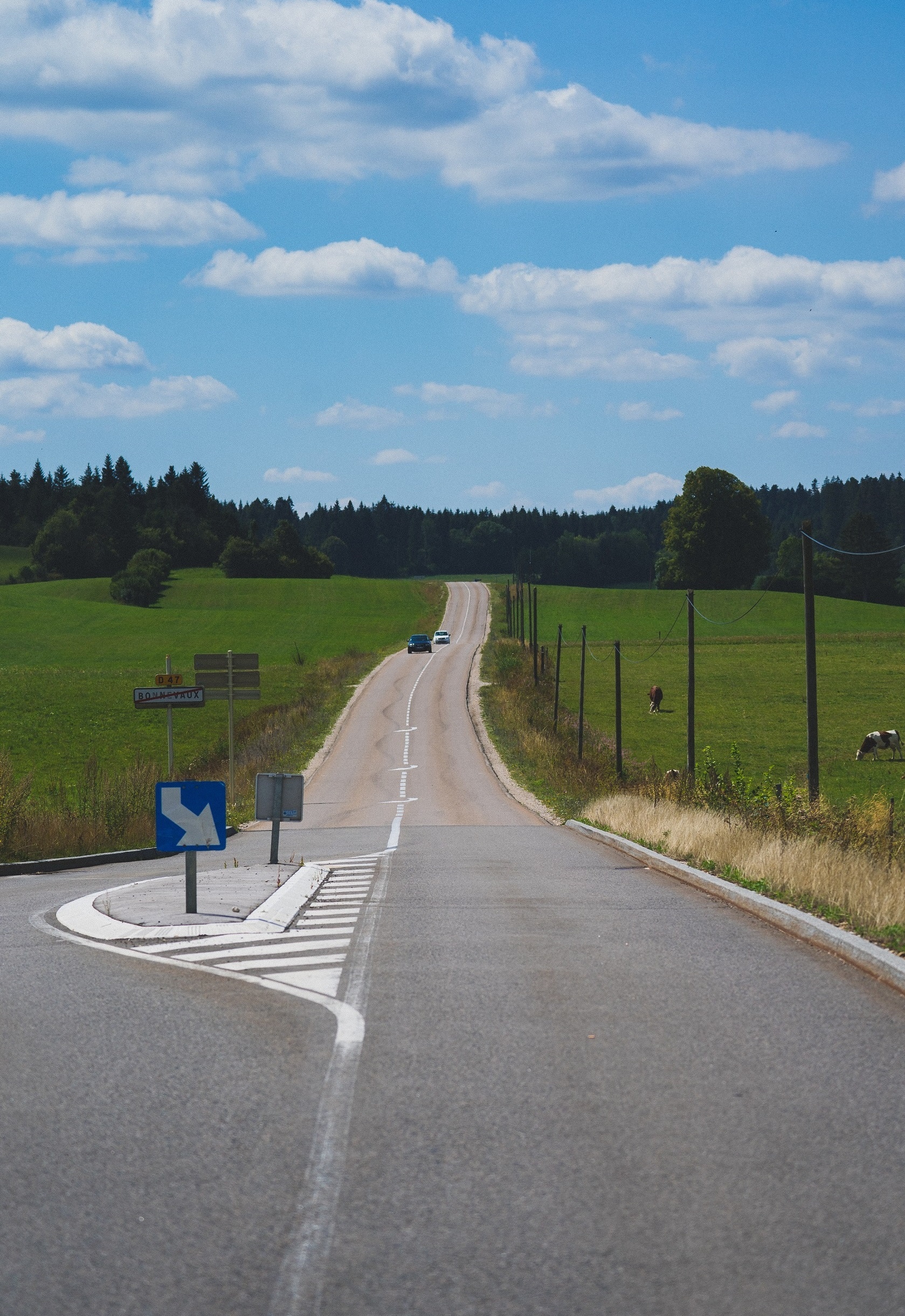 thanh pho Paris hoa le anh 8