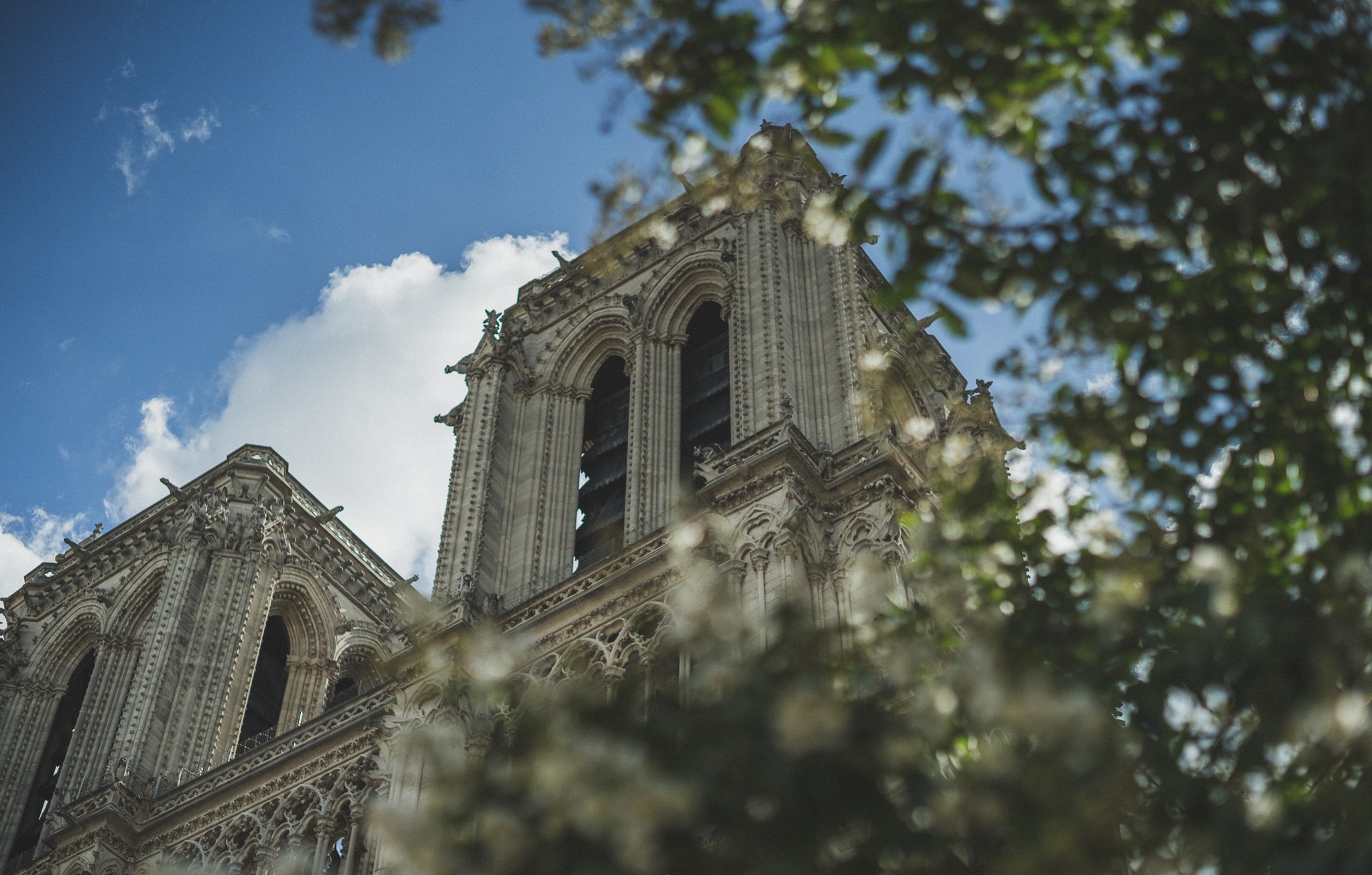 thanh pho Paris hoa le anh 30