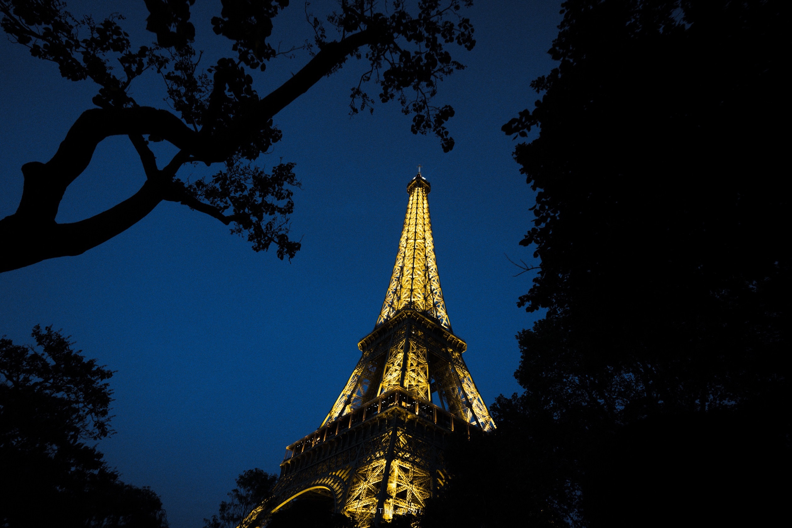 thanh pho Paris hoa le anh 47