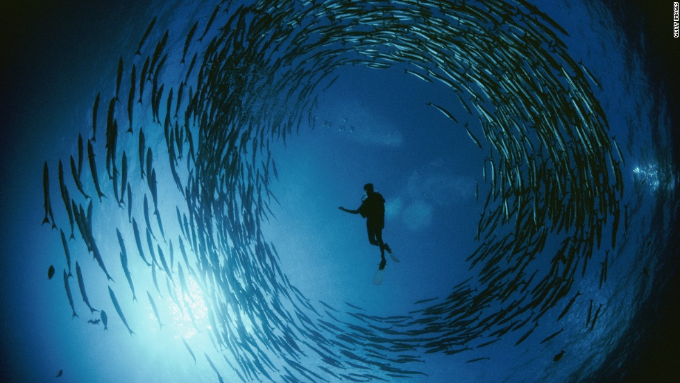 Nuoc chiem bao nhieu phan tram dien tich Trai Dat? hinh anh