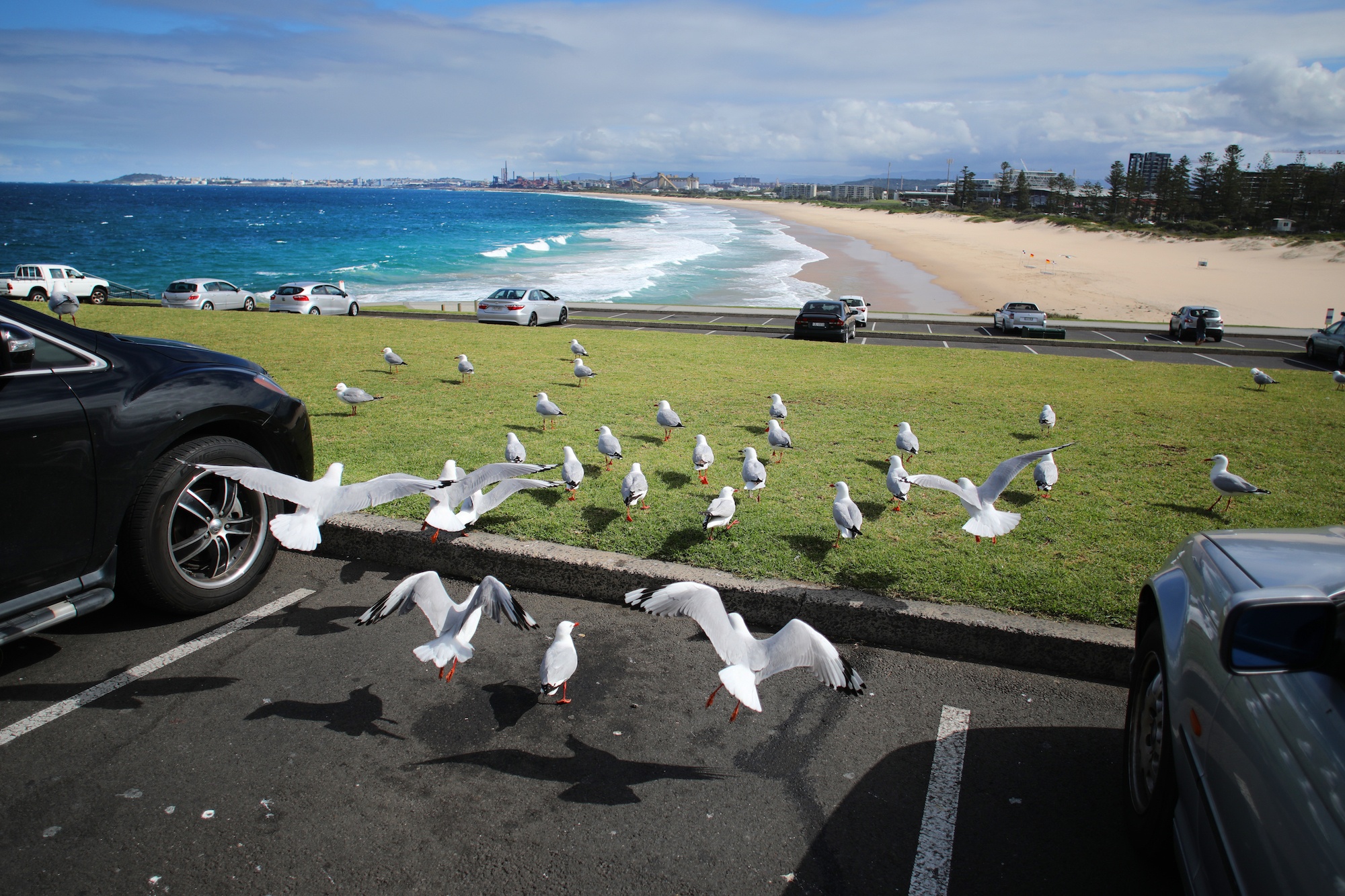 Australia va nhung khung troi mong mo anh 58