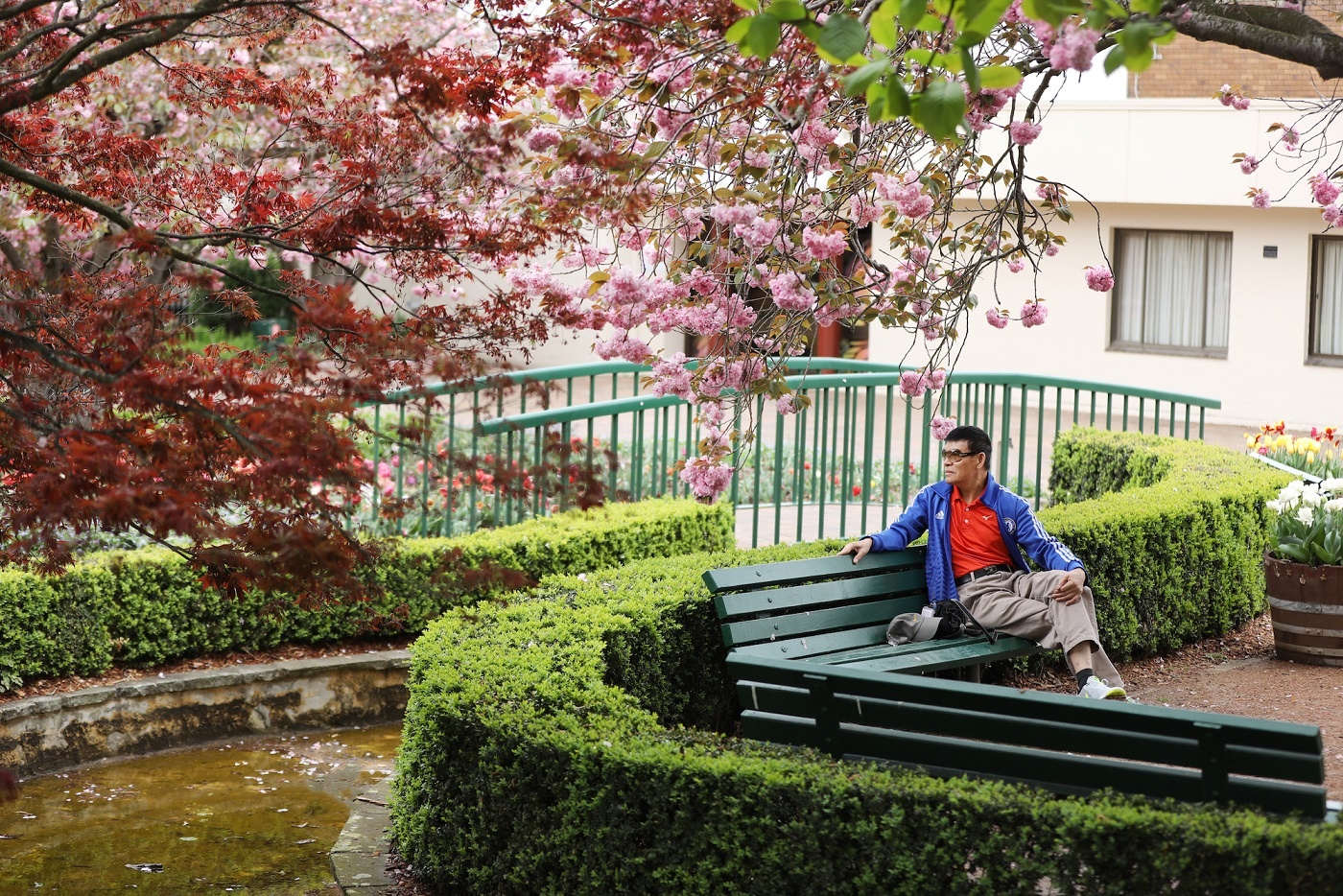 Australia va nhung khung troi mong mo anh 24