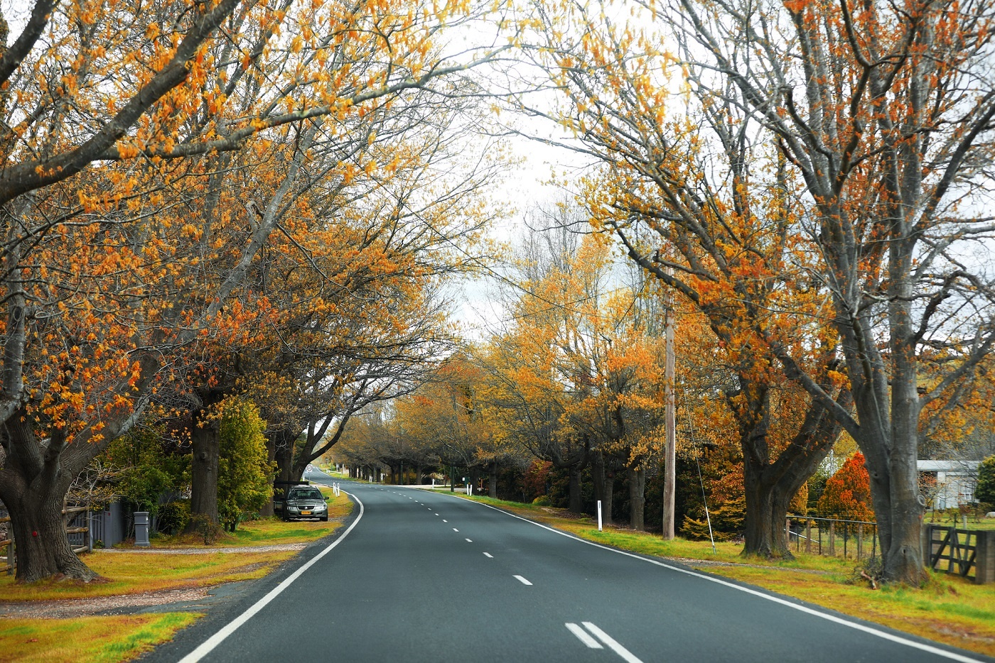 Australia và những khung trời mộng mơ ảnh 32 Australia va nhung khung troi mong mo anh 32