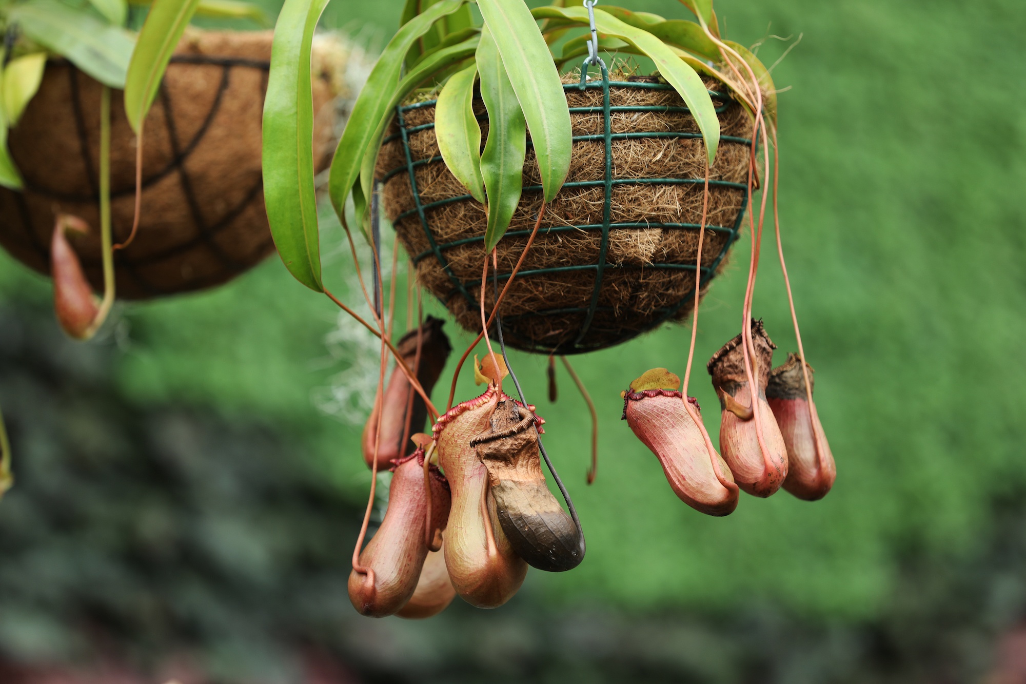 Australia va nhung khung troi mong mo anh 28