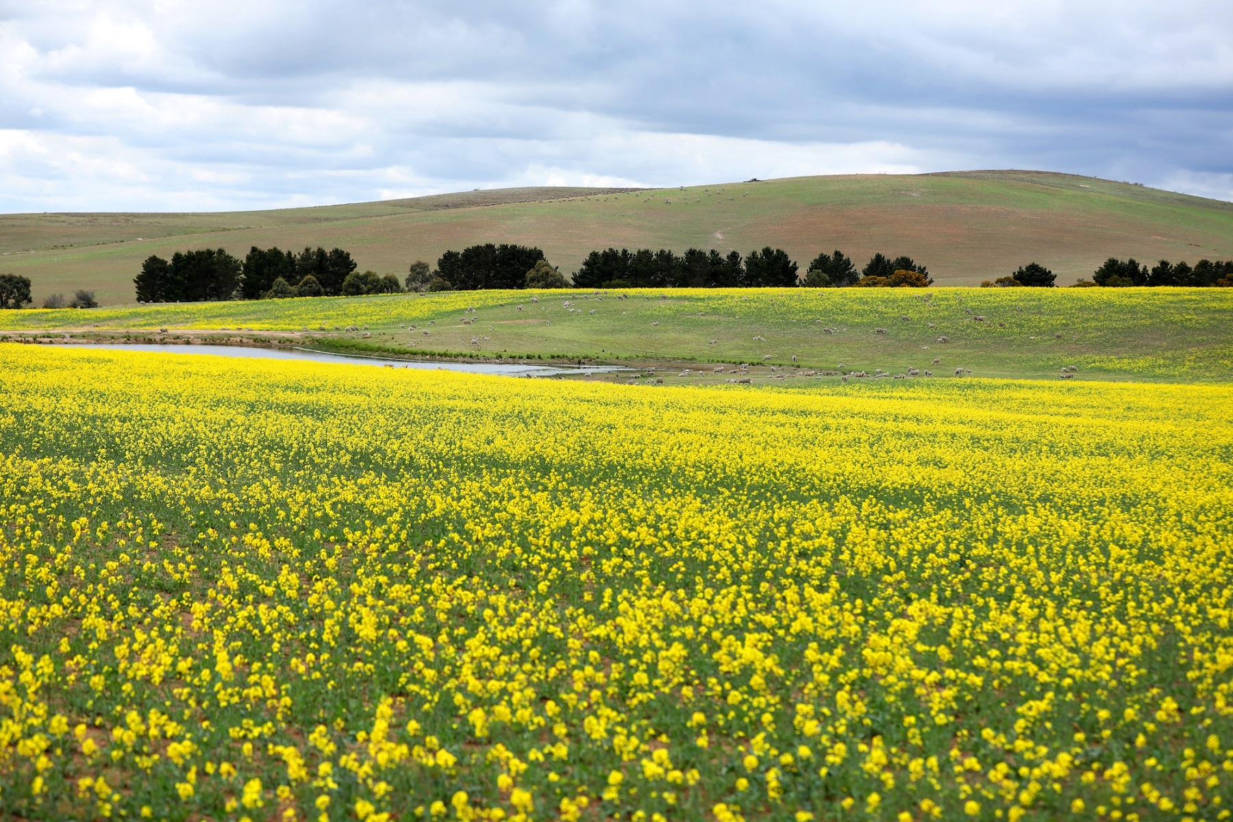 Australia va nhung khung troi mong mo anh 40