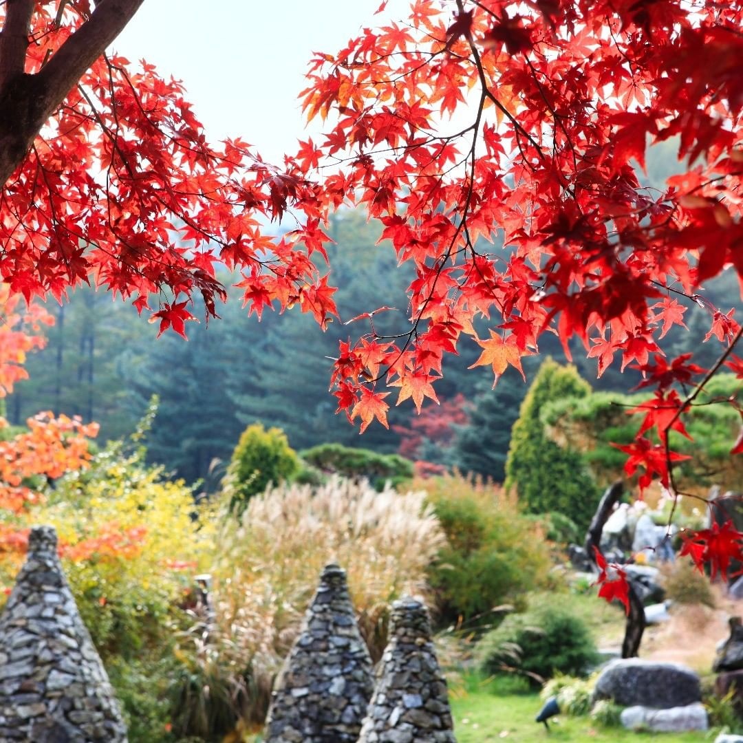 thien duong du lich noi tieng Han Quoc anh 11