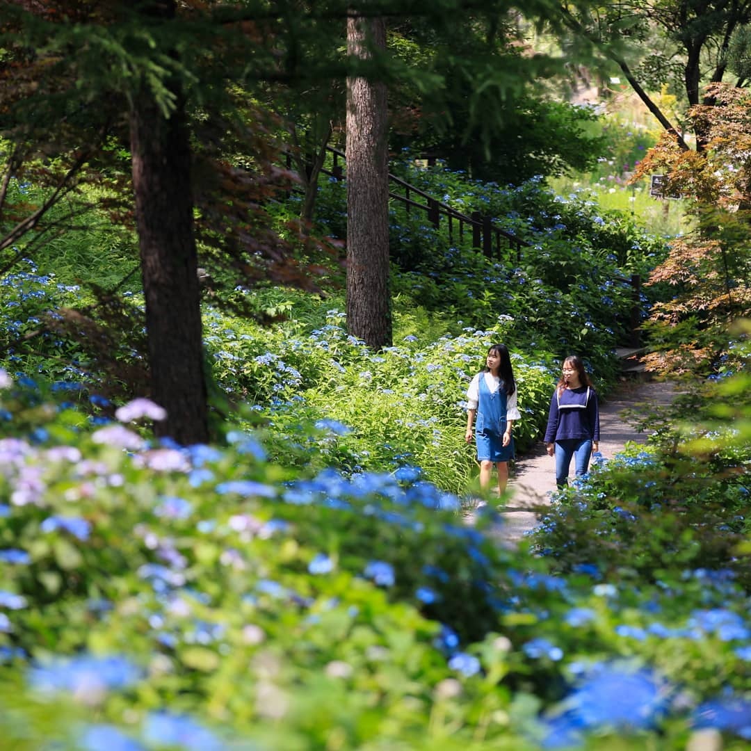 thien duong du lich noi tieng Han Quoc anh 13