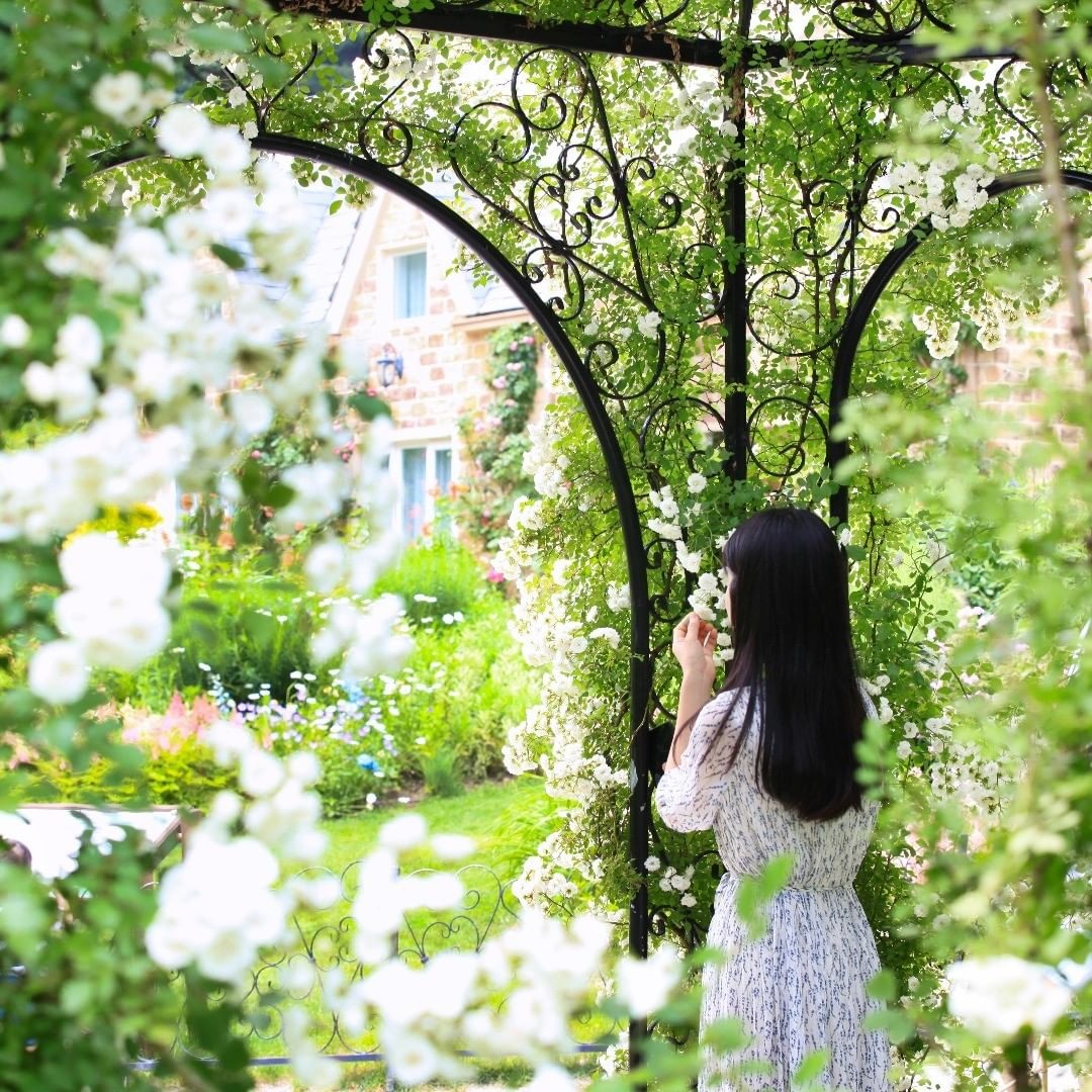 thien duong du lich noi tieng Han Quoc anh 14