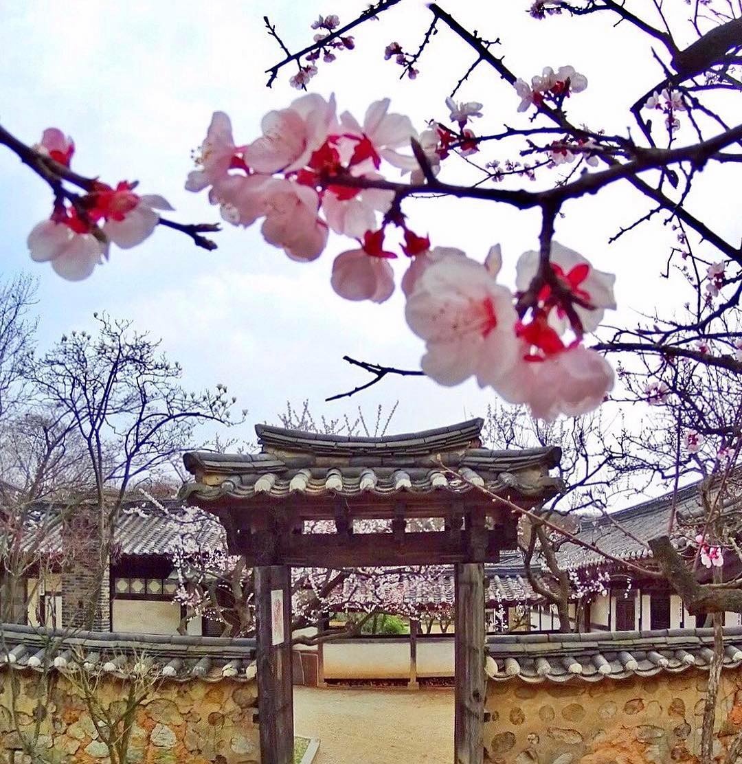 thien duong du lich noi tieng Han Quoc anh 24