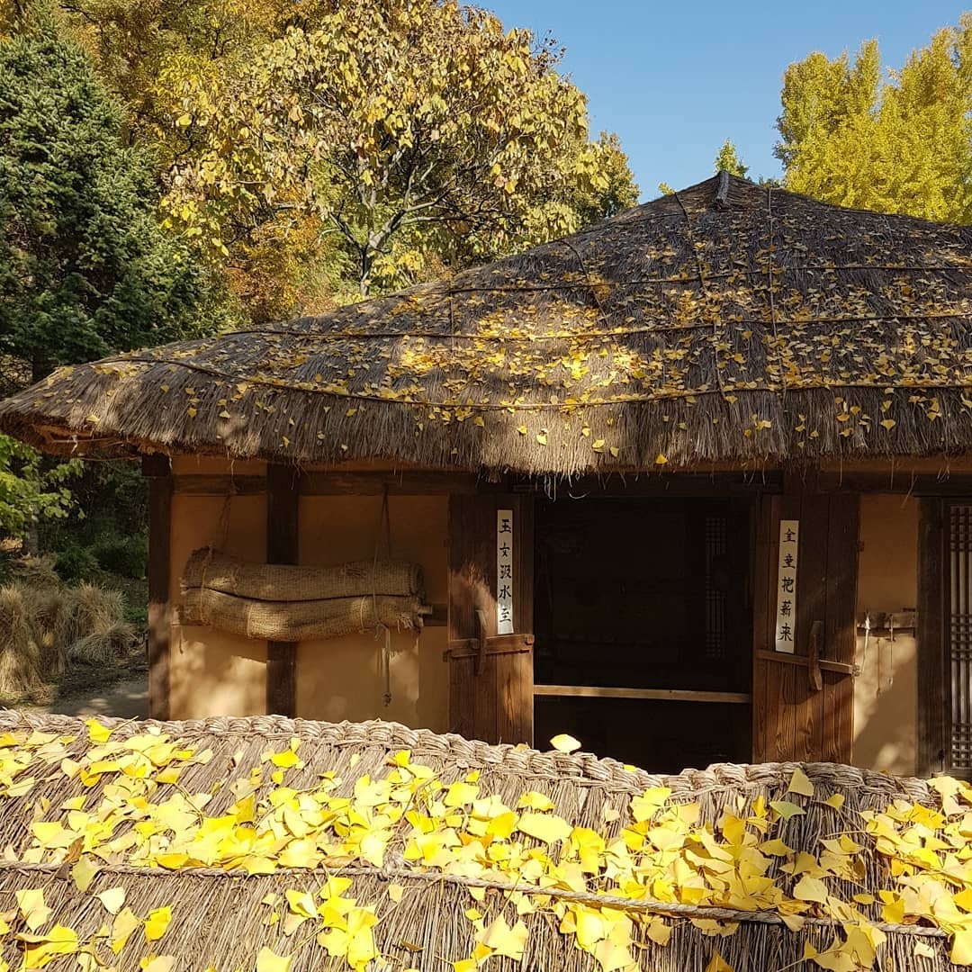 thien duong du lich noi tieng Han Quoc anh 25