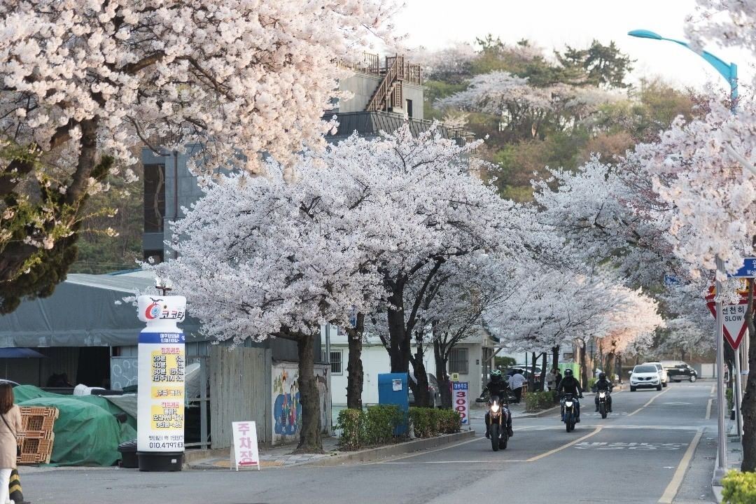 thien duong du lich noi tieng Han Quoc anh 19