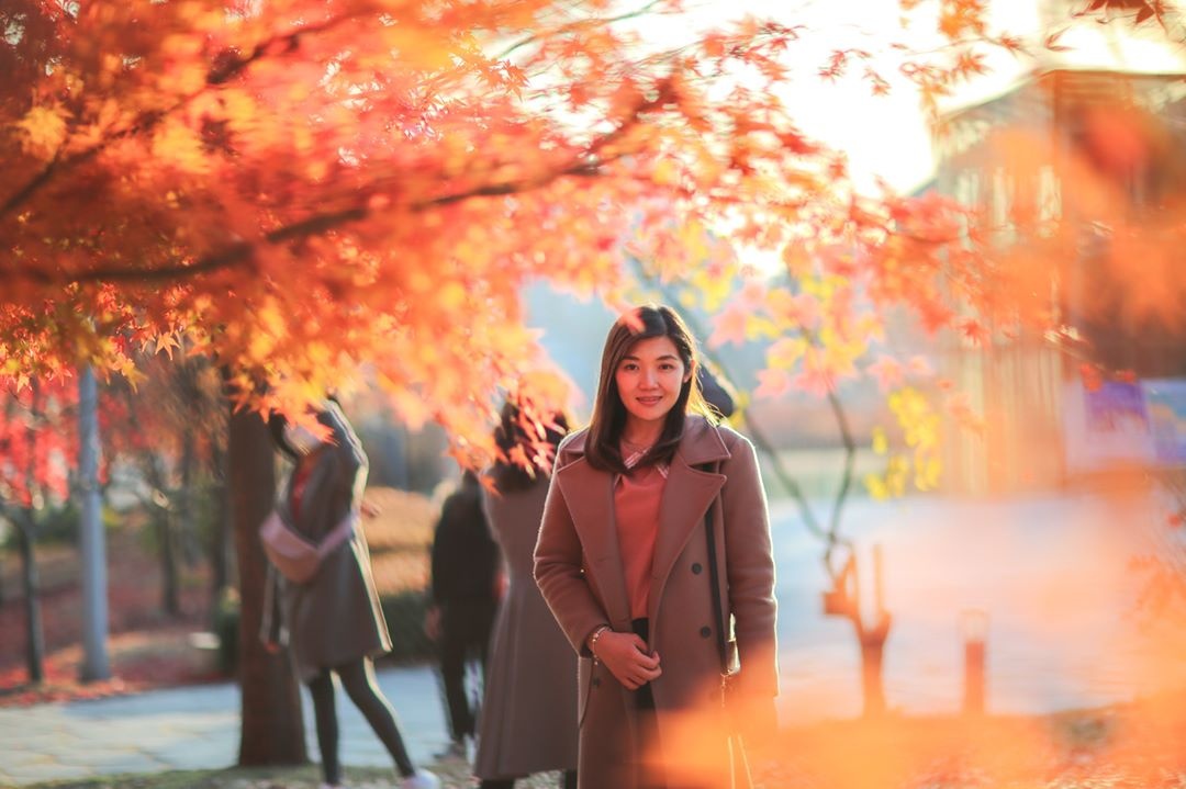 xin visa di Han Quoc het bao nhieu anh 2