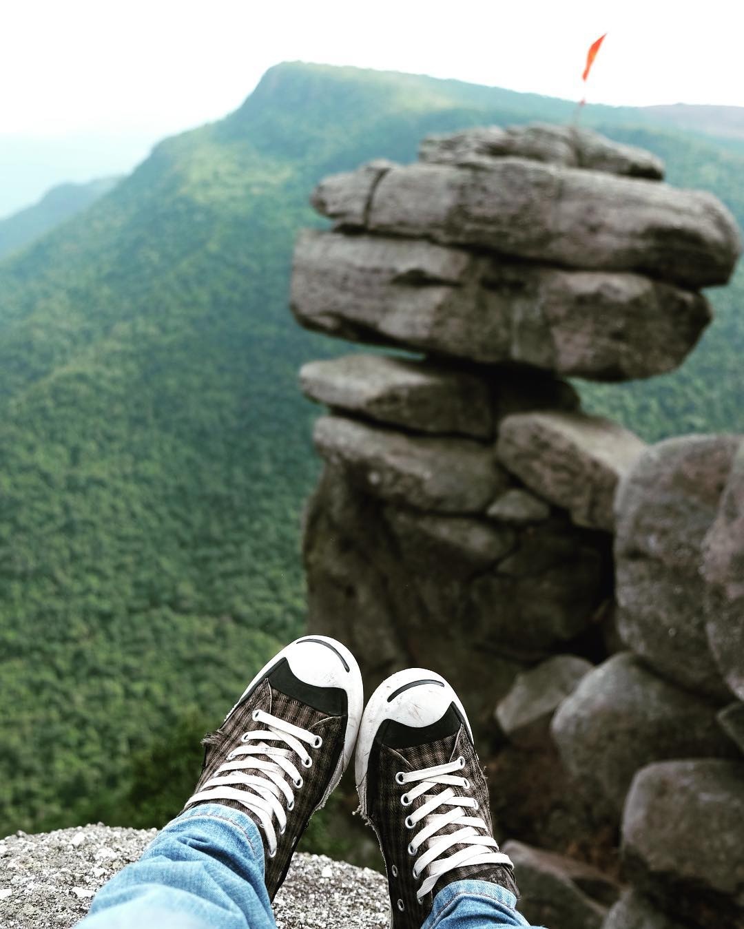 Tuyet tinh coc Da Lat anh 5