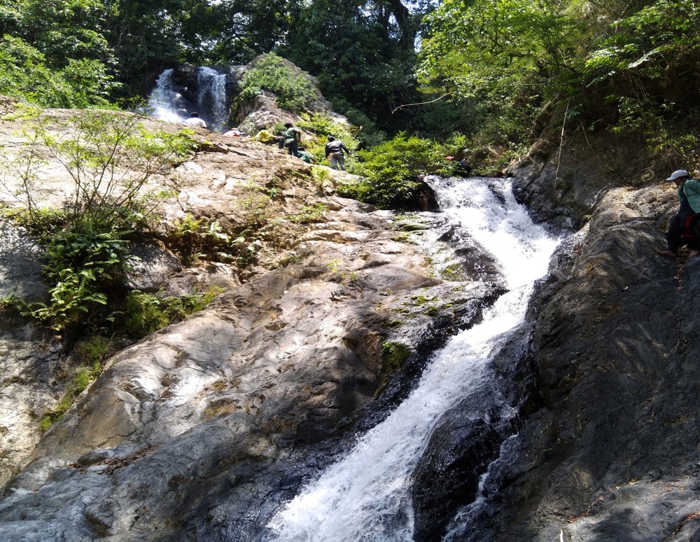 Tuyet tinh coc Da Lat anh 2