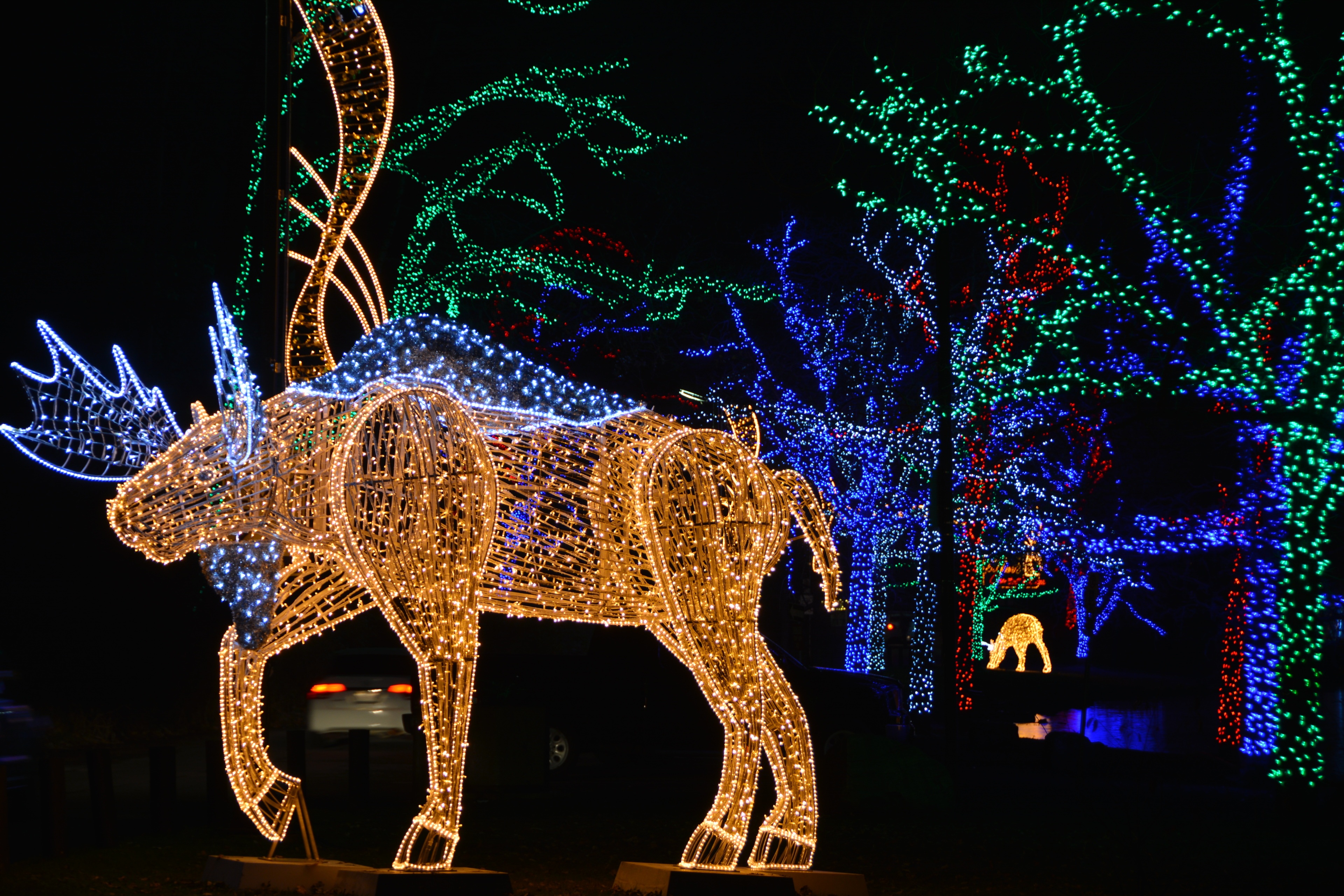 Le hoi Anh sang o thac Niagara anh 10