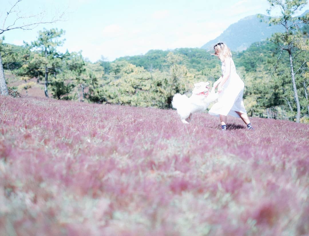 lich trinh Da Lat 3 ngay anh 2