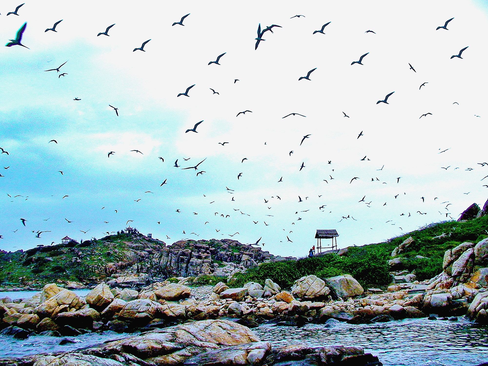 pho bien Nha Trang anh 22