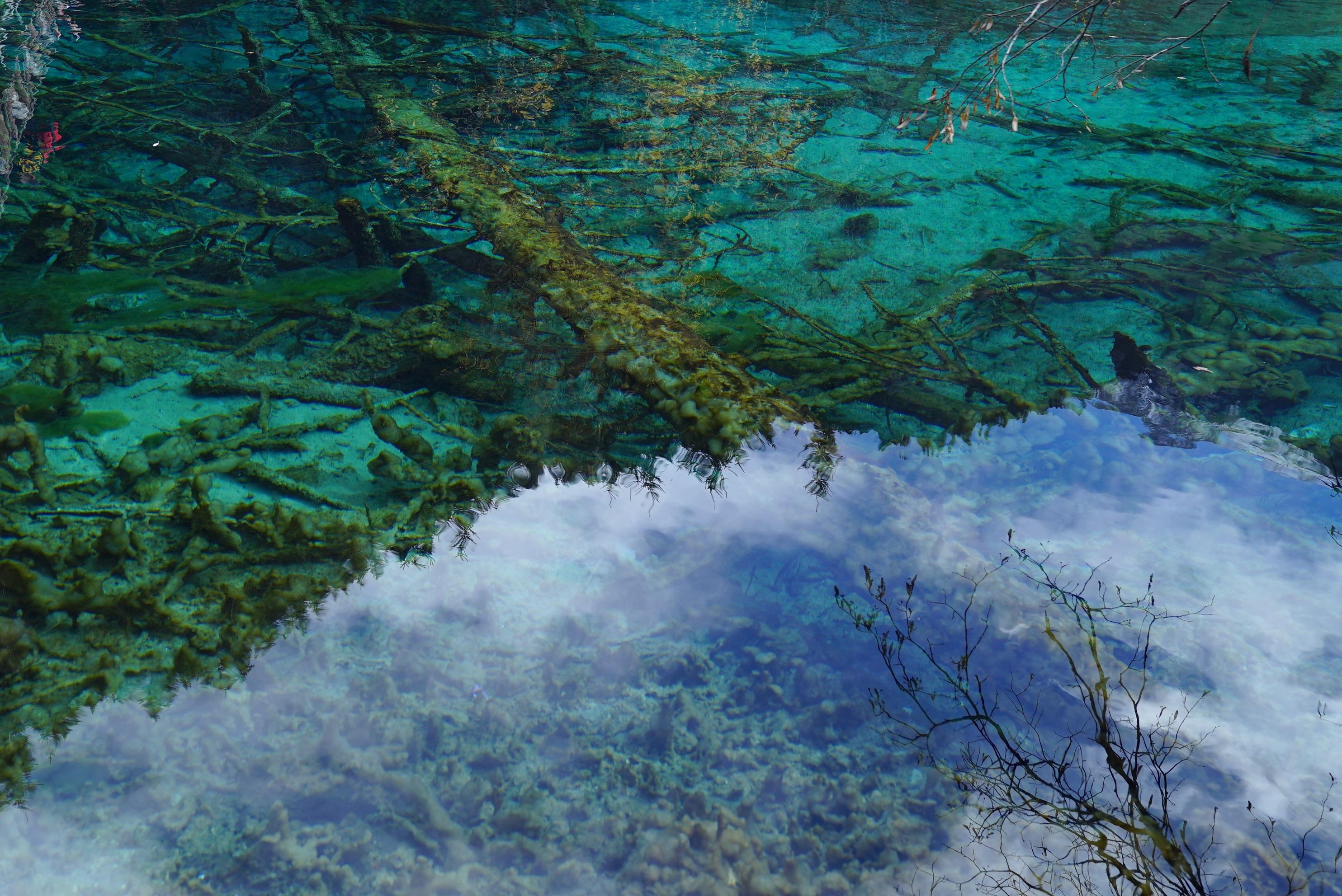 Lac loi o Trung Quoc anh 19