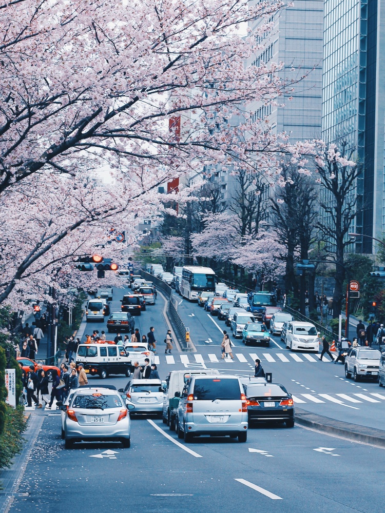 san hoa anh dao tu tuc anh 7