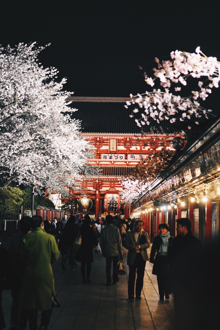 san hoa anh dao tu tuc anh 8