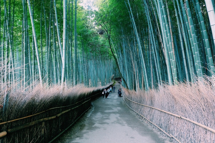 san hoa anh dao tu tuc anh 15