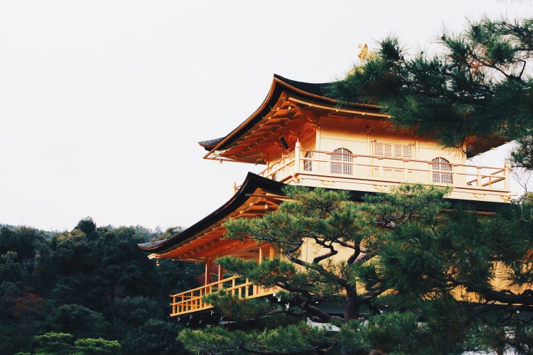 san hoa anh dao tu tuc anh 16