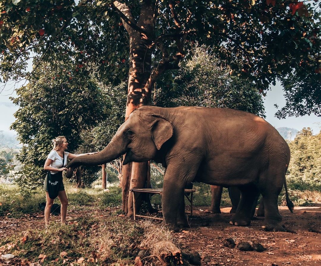 Thoi tiet dip Tet Nguyen dan anh 5