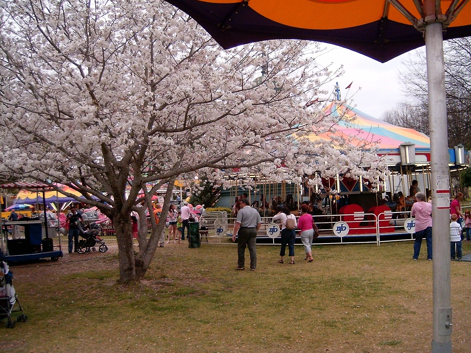 thu do hoa anh dao cua the gioi anh 10