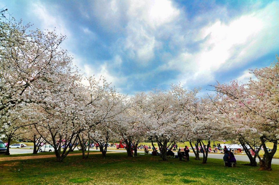 thu do hoa anh dao cua the gioi anh 6