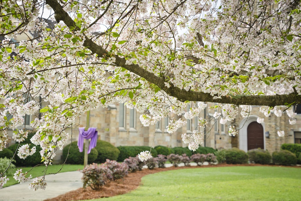 thu do hoa anh dao cua the gioi anh 7