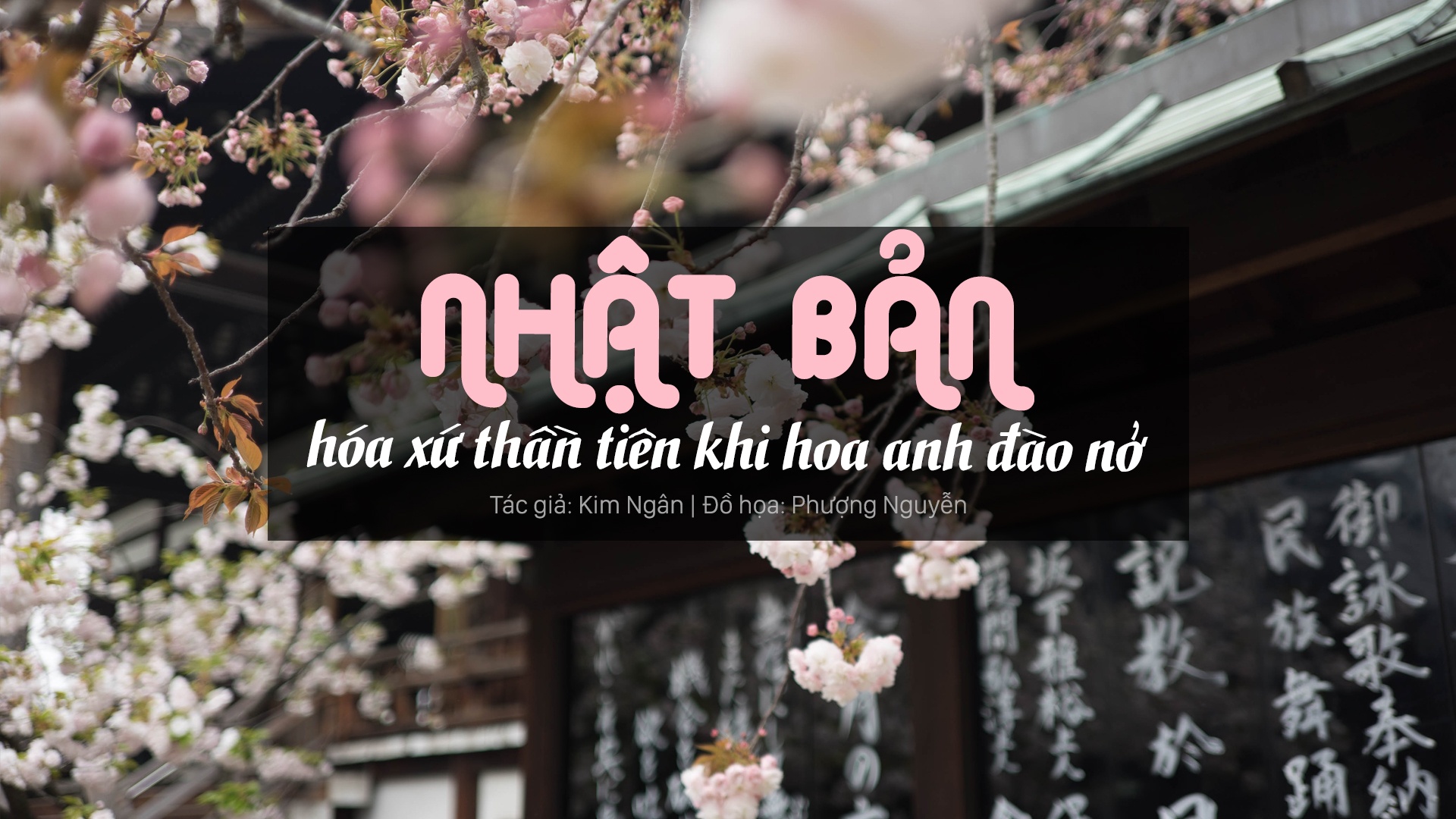 hoa anh đào nở ảnh 1 hoa anh dao no anh 1