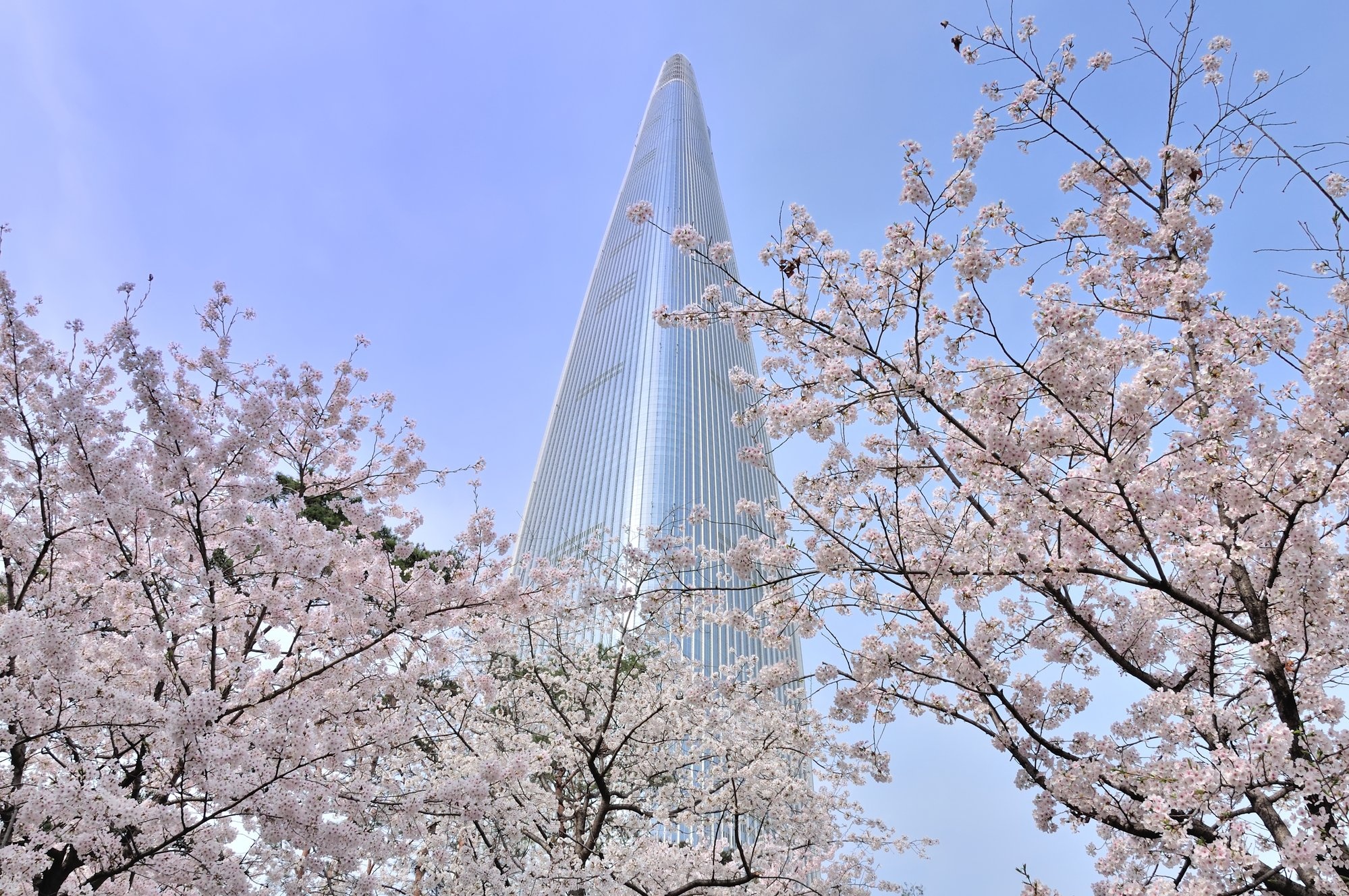 the gioi rop troi hoa anh dao anh 14