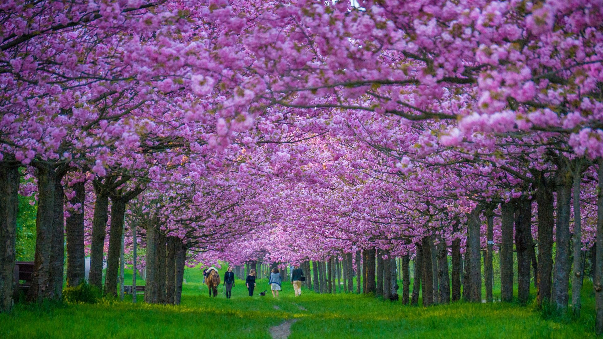 the gioi rop troi hoa anh dao anh 21