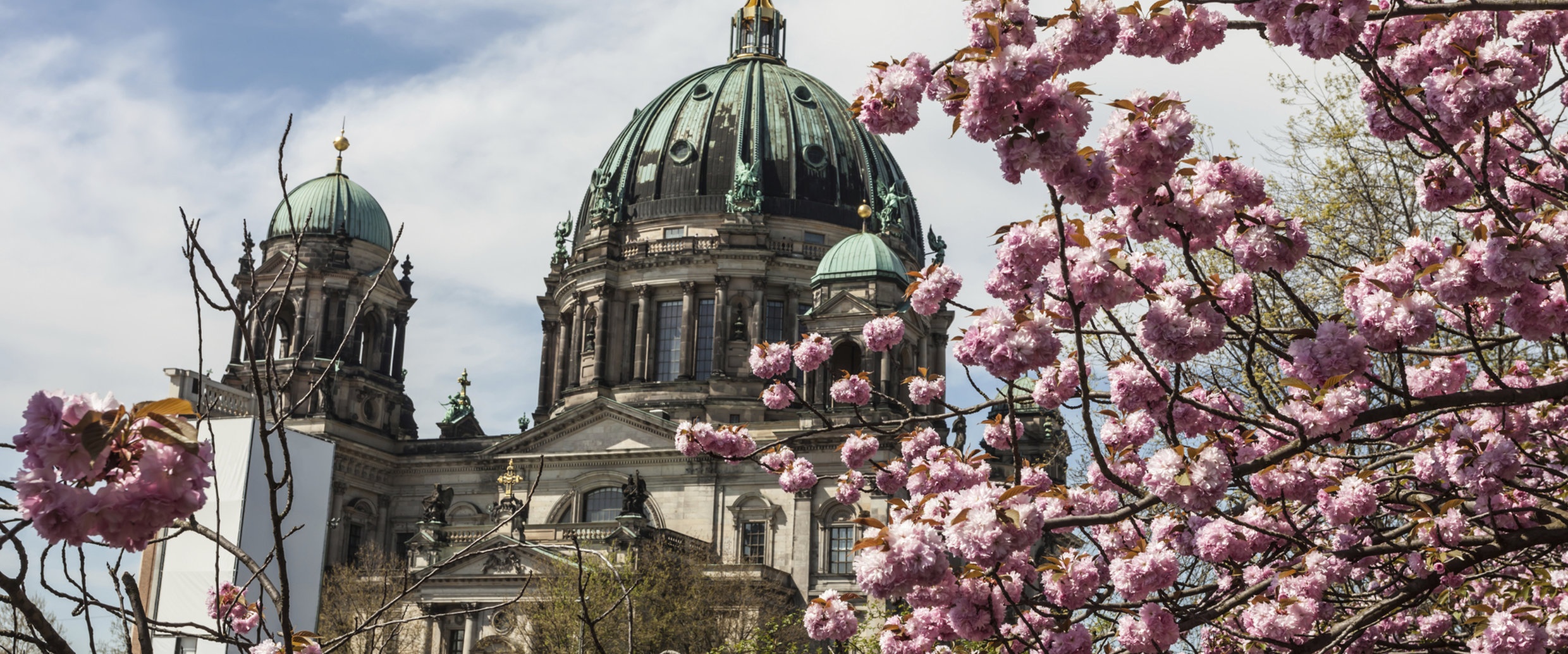 the gioi rop troi hoa anh dao anh 26