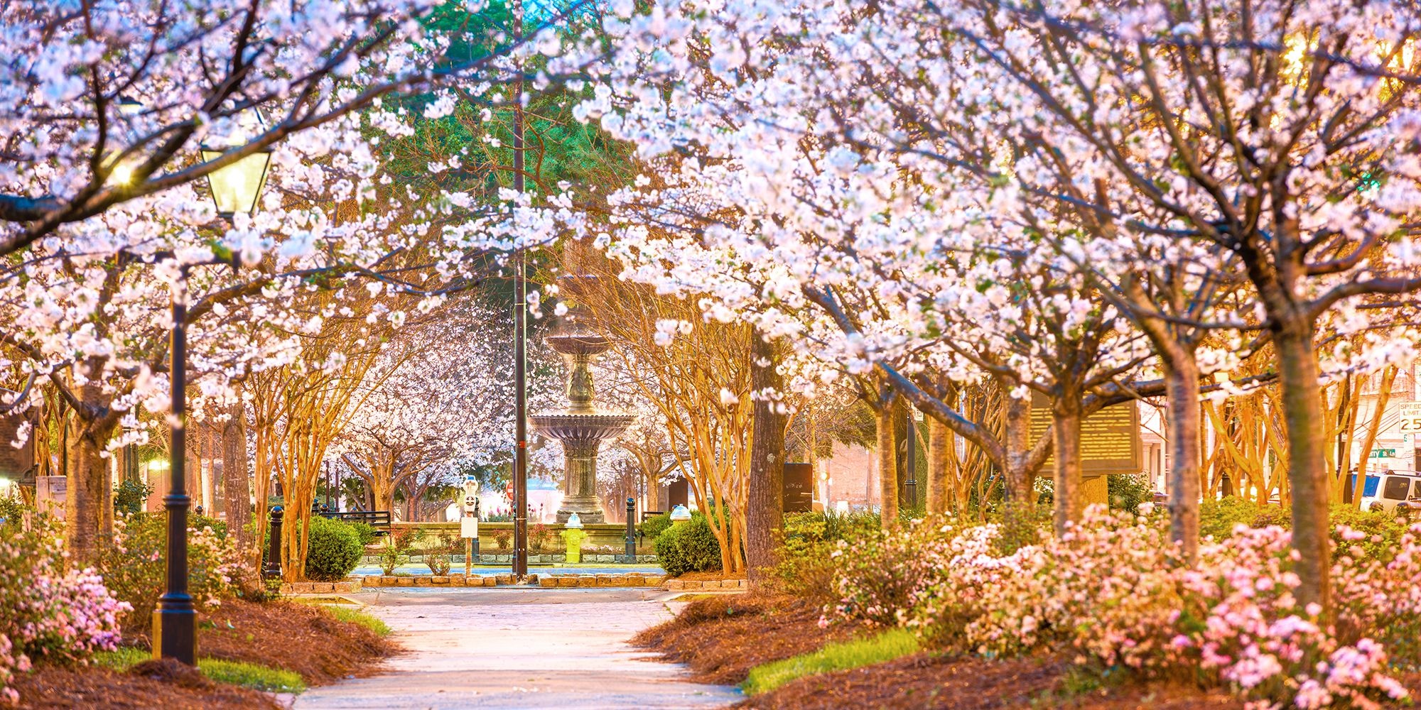 the gioi rop troi hoa anh dao anh 43