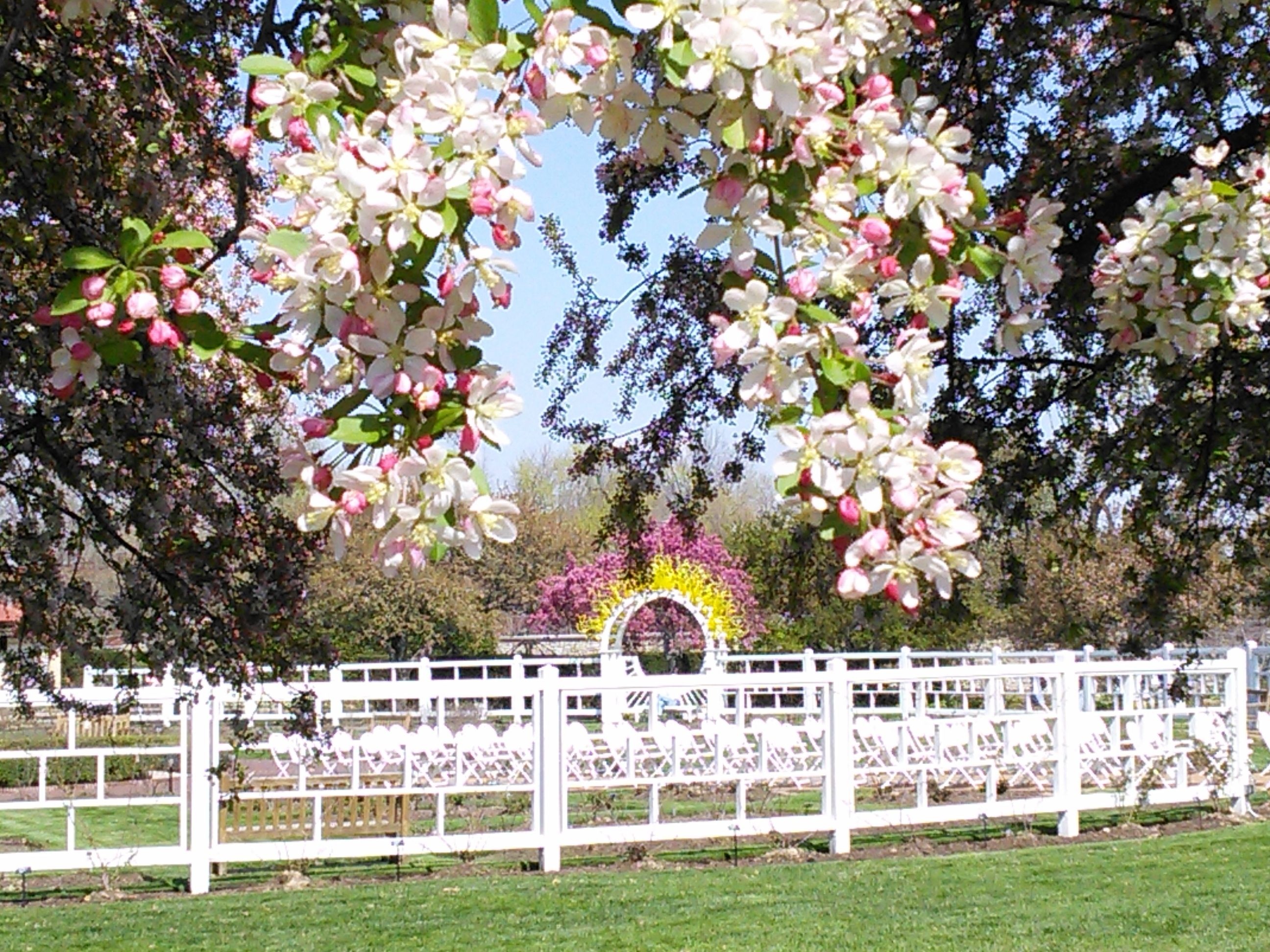 the gioi rop troi hoa anh dao anh 44