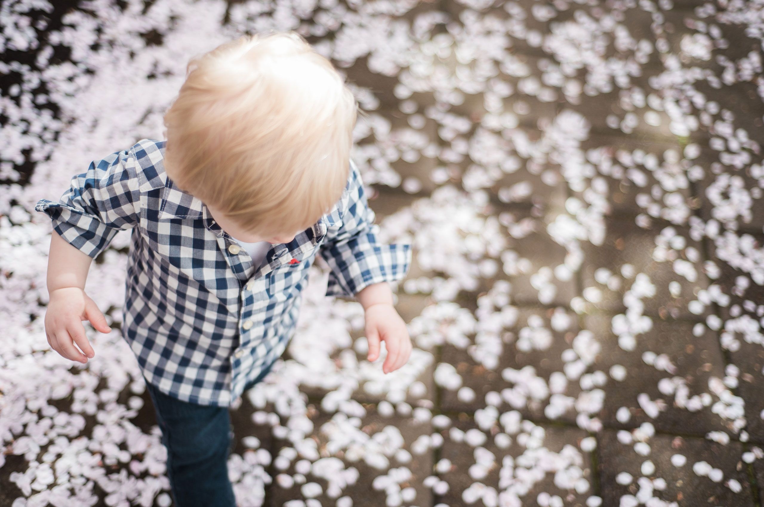 the gioi rop troi hoa anh dao anh 46