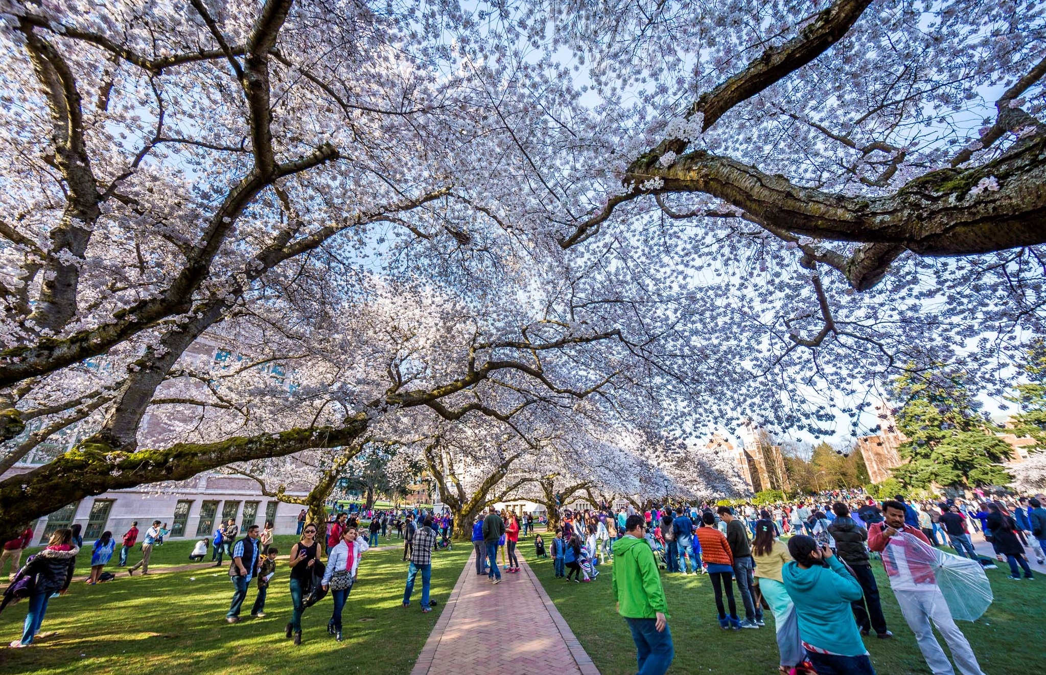 the gioi rop troi hoa anh dao anh 41