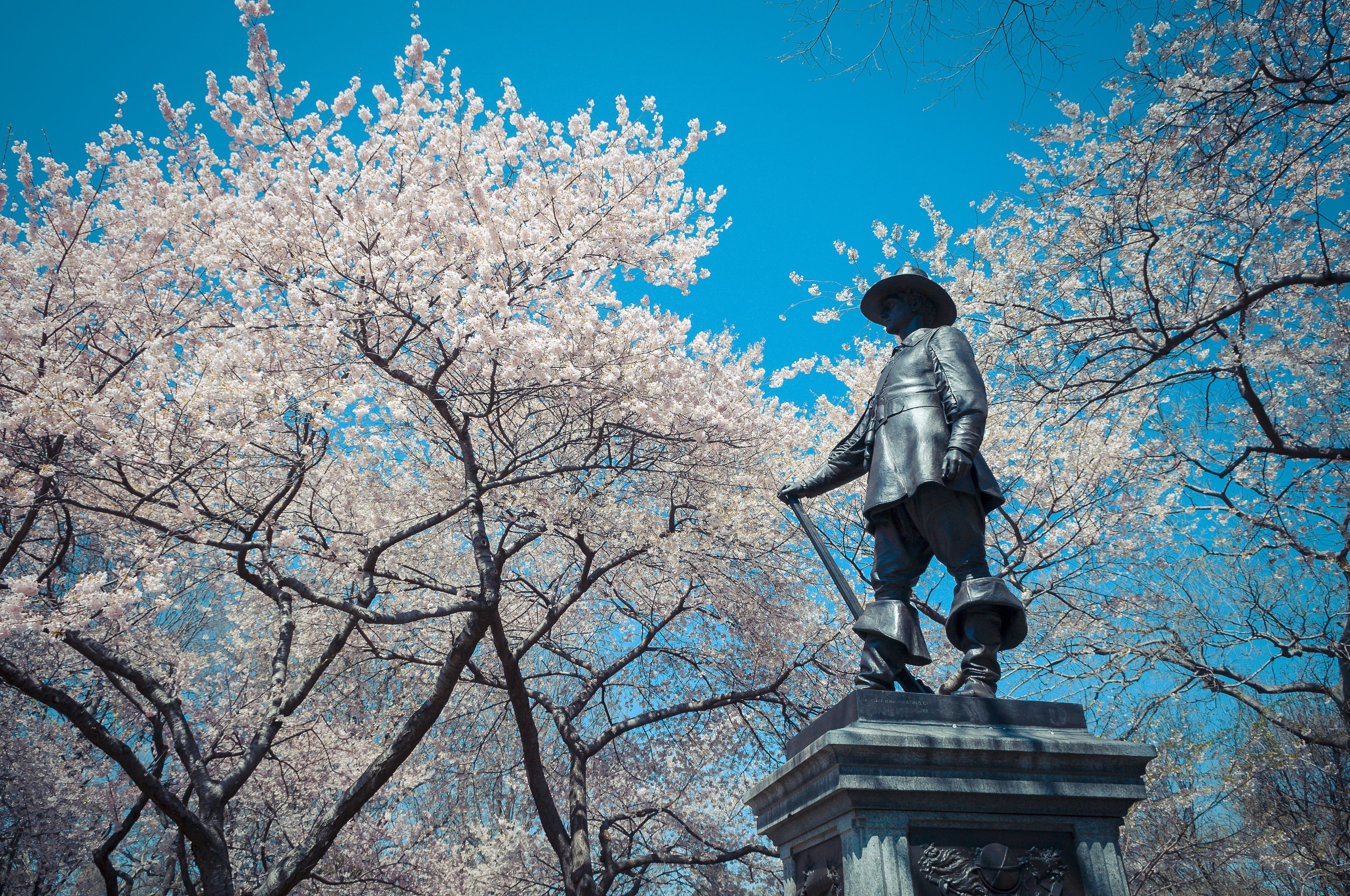 the gioi rop troi hoa anh dao anh 45