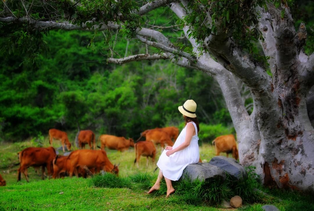 dip Tet Nguyen dan anh 5