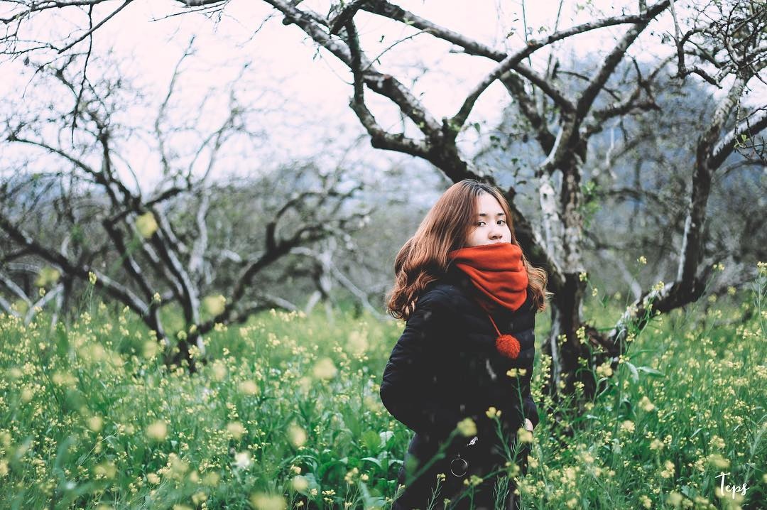 dip Tet Nguyen dan anh 13