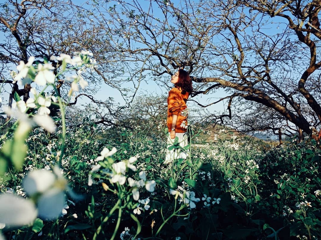 dip Tet Nguyen dan anh 16