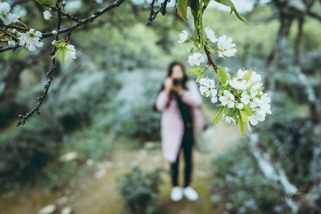 dip Tet Nguyen dan anh 15